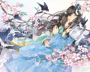 深入了解 每日吃瓜